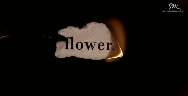 flower.PNG