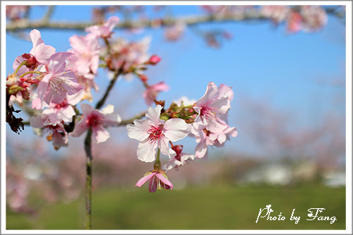 石馬公園05.jpg