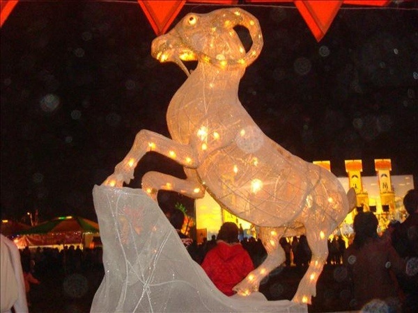 DSC00987