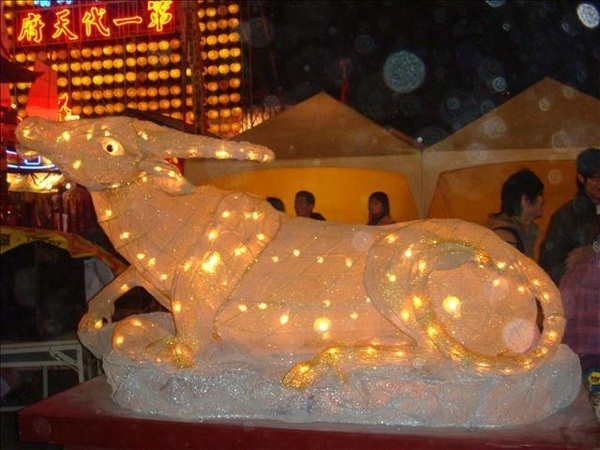 DSC00990