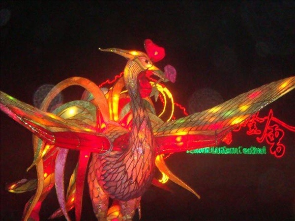 DSC00901