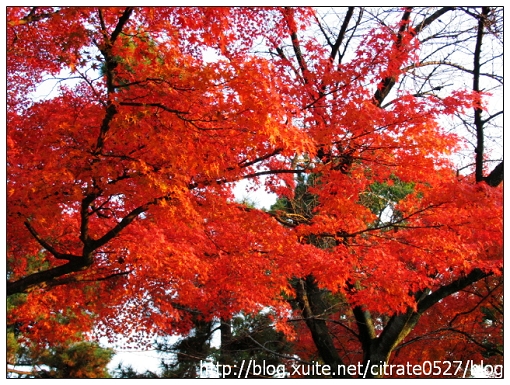 京都4.jpg