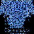 1447360700-322288848334172638.jpg