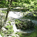 1447360687-171_148699_c2b873fb3fdc03d.jpg