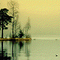 1447360693-171_148699_eab8966862af4b5.jpg