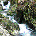 1447360695-img_21060267.jpg