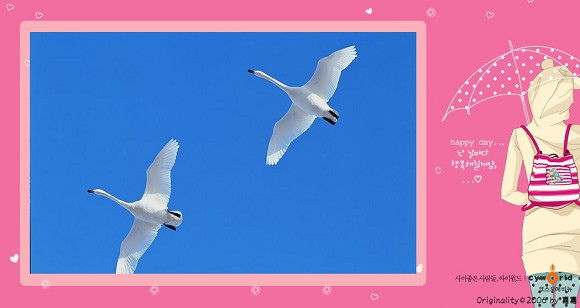 1285446305-white_swan_couple_in_sky.jpg