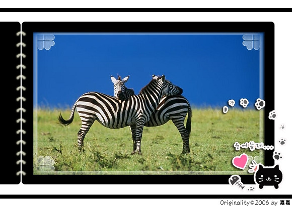 1285446306-zebra_couple.jpg