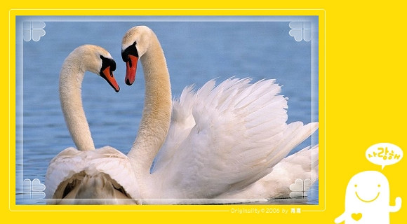 1285446310-white_swan_couple.jpg