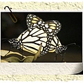 1285446316-two_butterflies.jpg