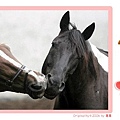 1285446317-Horses_couple.jpg