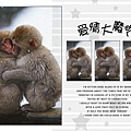 1285446337-hugging_monkeys.jpg