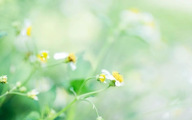 且以深情共餘生(人生感悟)✿✿⊱╮