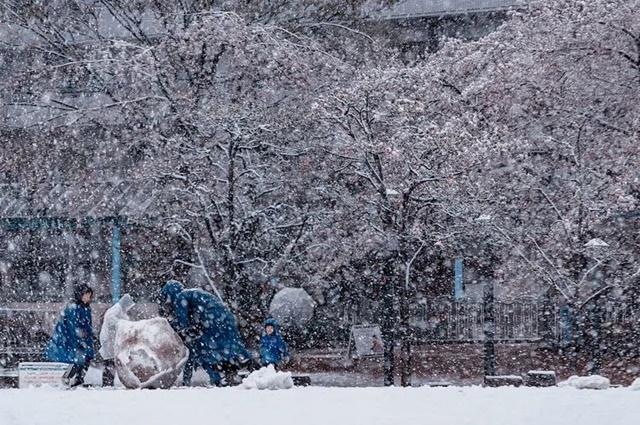 飄雪的冬天，願愛與溫暖一路相伴(人生感悟)✿✿⊱╮