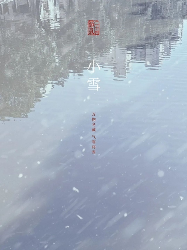 散文：雪小禪｜小雪，素喜✿✿⊱╮