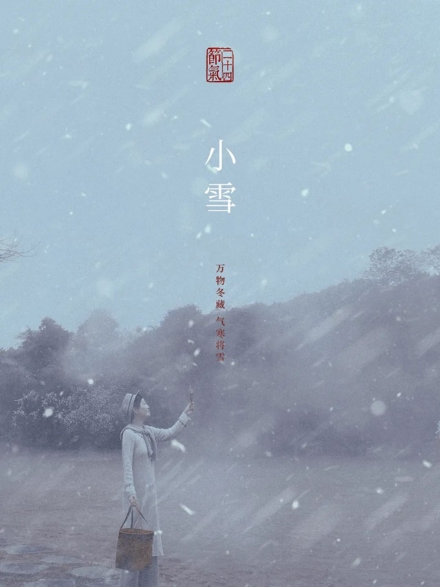 散文：雪小禪｜小雪，素喜✿✿⊱╮