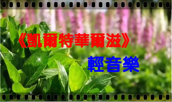 輕音樂《凱爾特華爾滋》美妙的旋律，快樂的篇章✿✿⊱╮