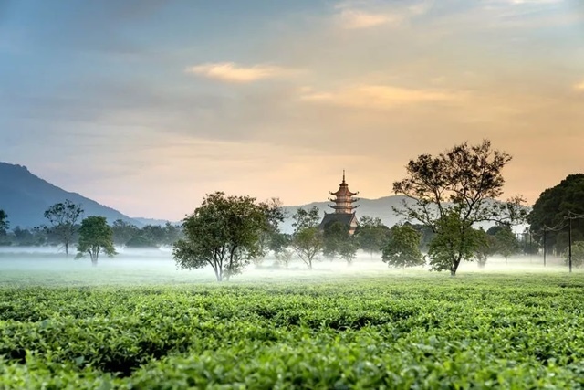 與善人共處，與能人共事，與相愛共度一生✿✿⊱╮