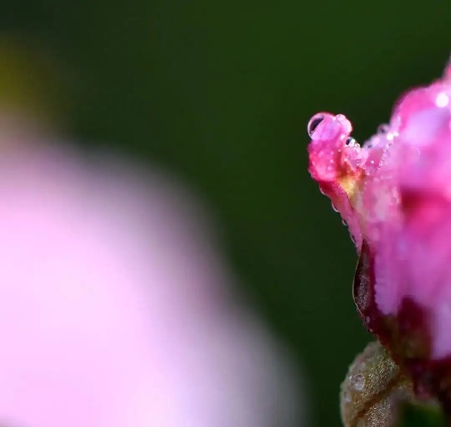 人在俗世中，心在山水間(人生感悟)✿✿╮