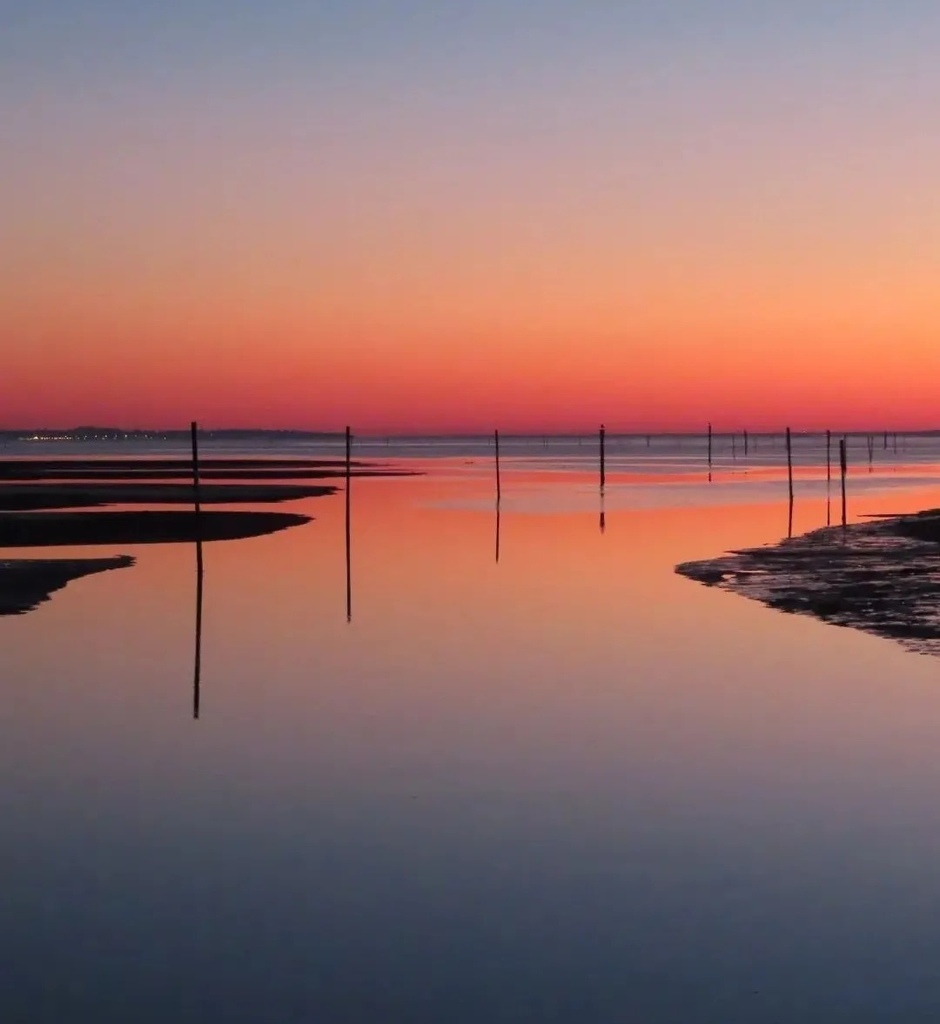 海灘上，夕陽下的守望者✿✿⊱╮