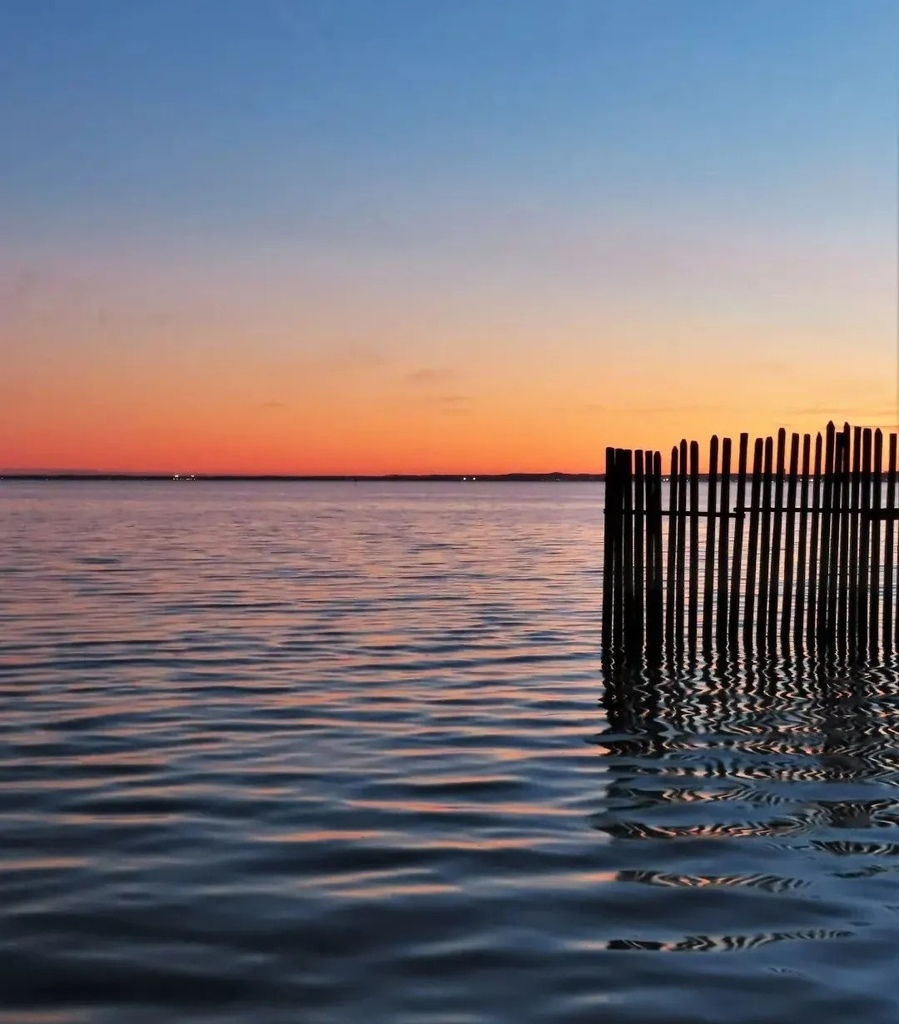 海灘上，夕陽下的守望者✿✿⊱╮