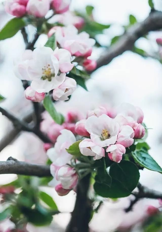 一路向寒，靜候花開✿✿⊱╮