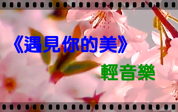 櫻花樹下的浪漫！《遇見你的美》✿✿⊱╮