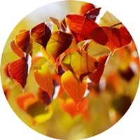 心有暖陽，前路不寒(人生感悟)✿✿⊱╮