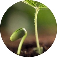 人生六品，你在哪一品?✿✿⊱╮