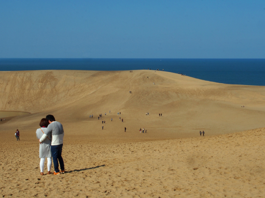 P1012659_副本.jpg P1012659_副本.jpg