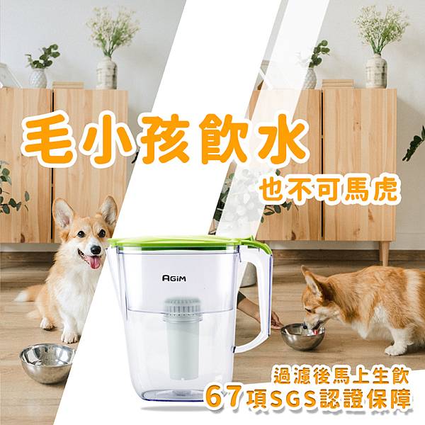 法國 阿基姆AGiM 生飲級全效型濾水壺(附濾芯)FK-25 法國 阿基姆AGiM 生飲級全效型濾水壺(附濾芯)FK-25