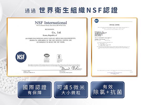 法國 阿基姆 AGiM 淨水除氯蓮蓬頭 DS220-WH 法國 阿基姆 AGiM 淨水除氯蓮蓬頭 DS220-WH