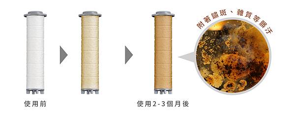 法國 阿基姆 AGiM 淨水除氯蓮蓬頭 DS220-WH 法國 阿基姆 AGiM 淨水除氯蓮蓬頭 DS220-WH