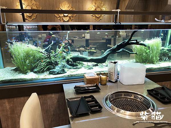 IMG_9804.jpg IMG_9804.jpg