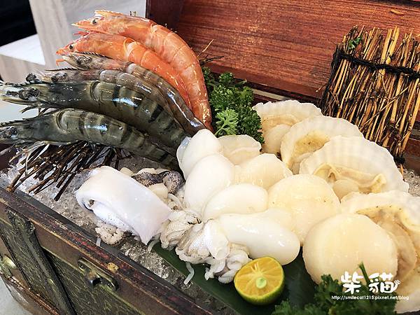 IMG_9814.jpg IMG_9814.jpg