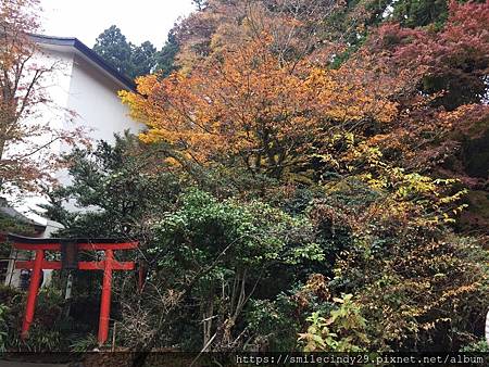 箱根神社.jpg