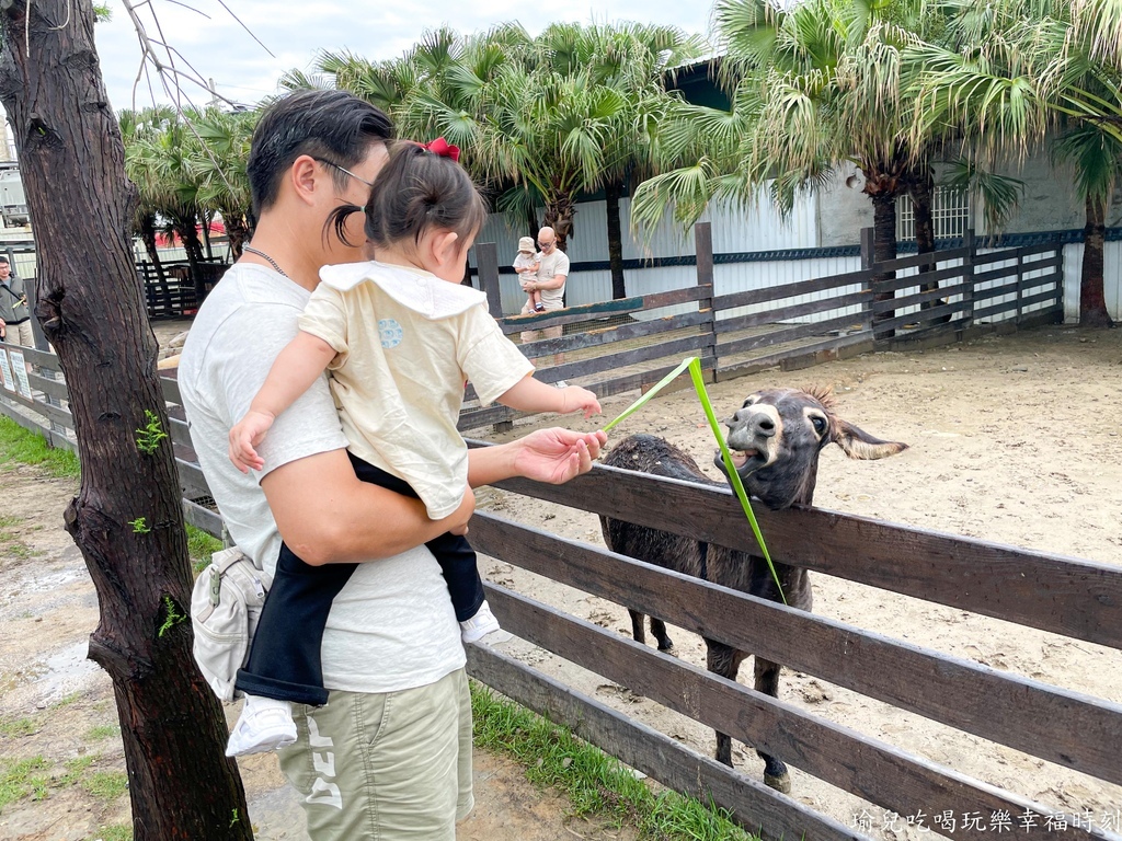 【遊記❤新竹】廢物媽媽育兒農場，新竹最夯超人氣親子旅遊景點，