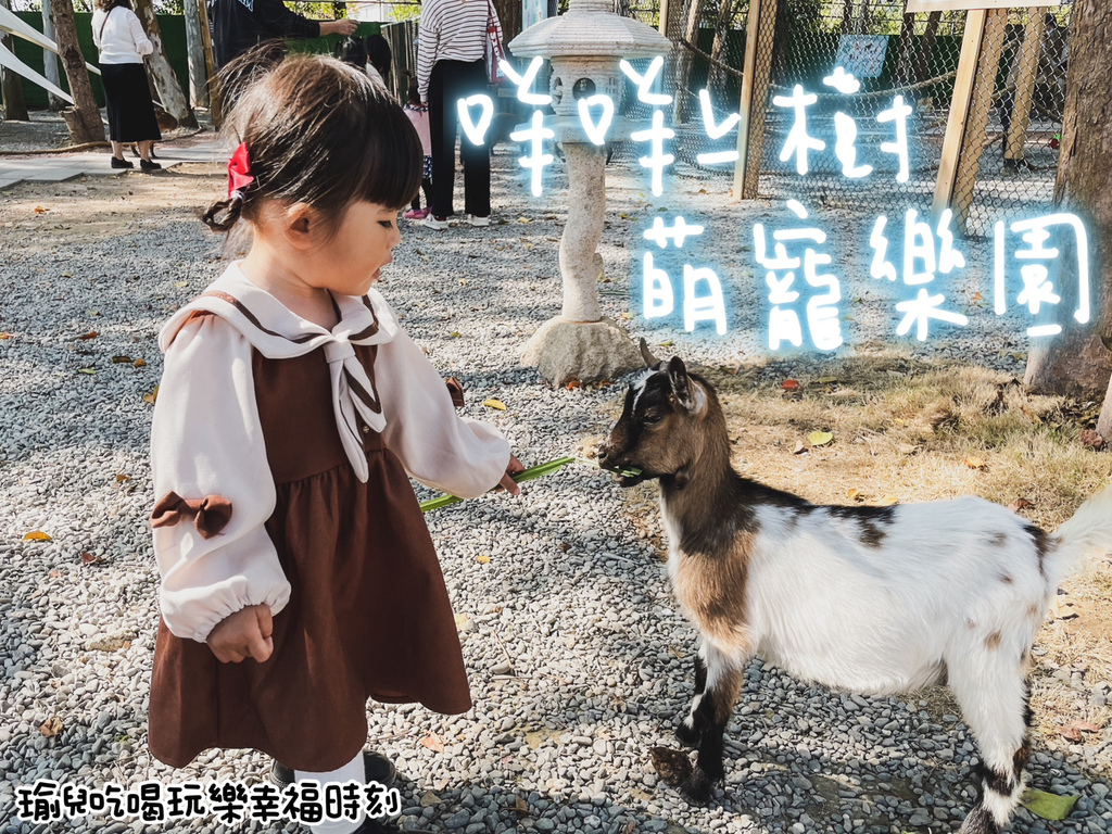 【遊記❤嘉義】咩咩上樹萌寵樂園，門票資訊親子友善免費停車，笑