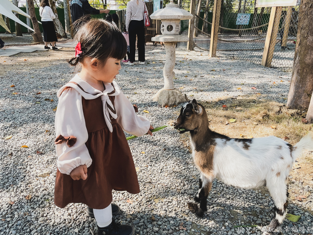 【遊記❤嘉義】咩咩上樹萌寵樂園，門票資訊親子友善免費停車，笑