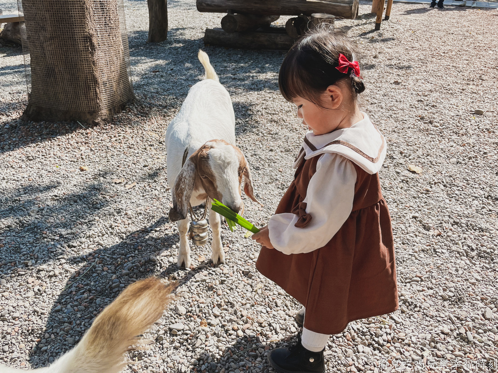 【遊記❤嘉義】咩咩上樹萌寵樂園，門票資訊親子友善免費停車，笑