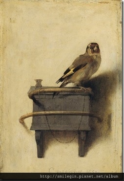 o-THE-GOLDFINCH-900