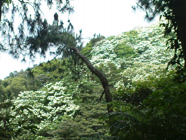 DSC00502.JPG DSC00502.JPG