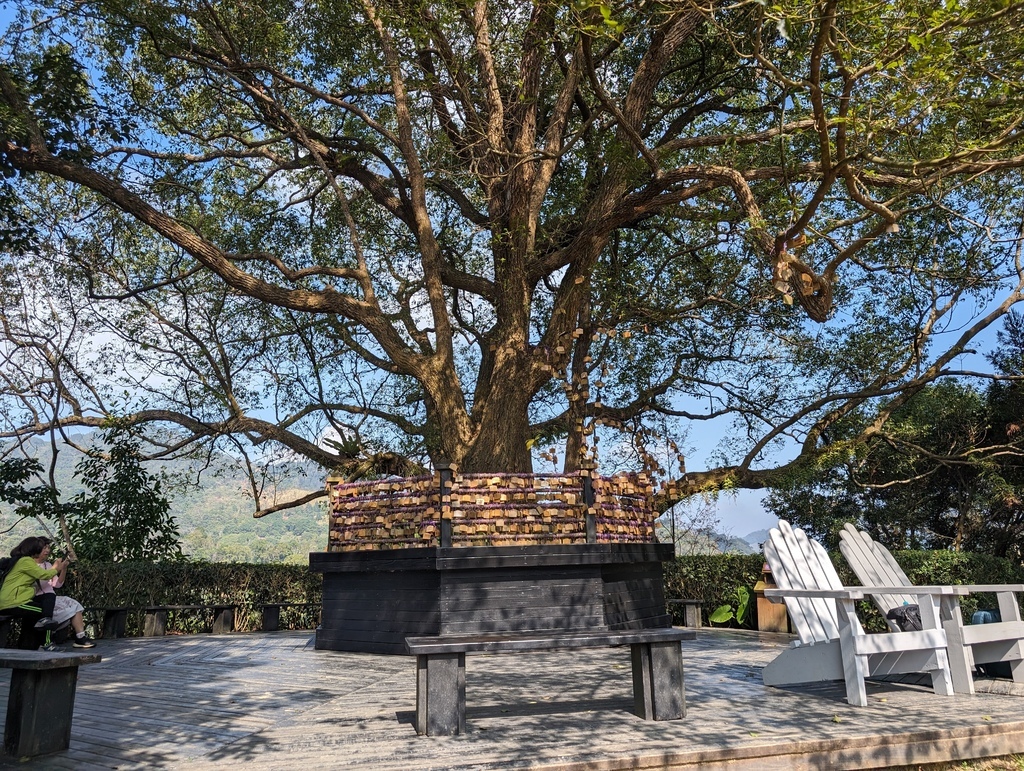 台中 新社 旅遊＠「薰衣草森林」（環境篇）