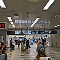 PXL_20240615_043809505.jpg