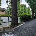 PXL_20240616_090157593.jpg