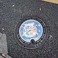 PXL_20240616_090134287.jpg