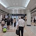 PXL_20240618_224003113.jpg