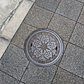 PXL_20240615_074310865.jpg