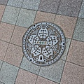 PXL_20240615_062011026.jpg