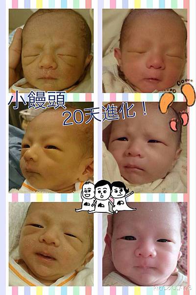 坐月子 成長 嬰兒 坐月子 成長 嬰兒